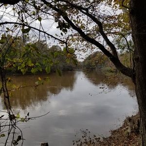 Meet your Posher, Janet